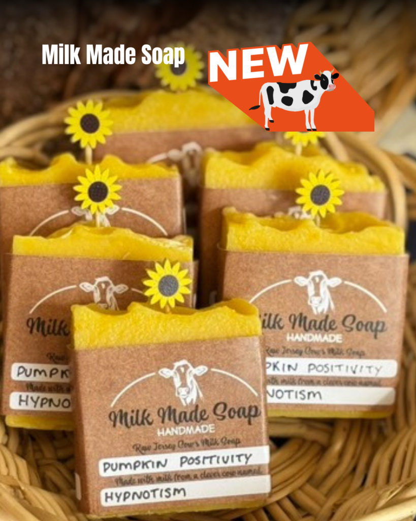 Picture of Milk Made homemade Pumpkin Positivity soaps.